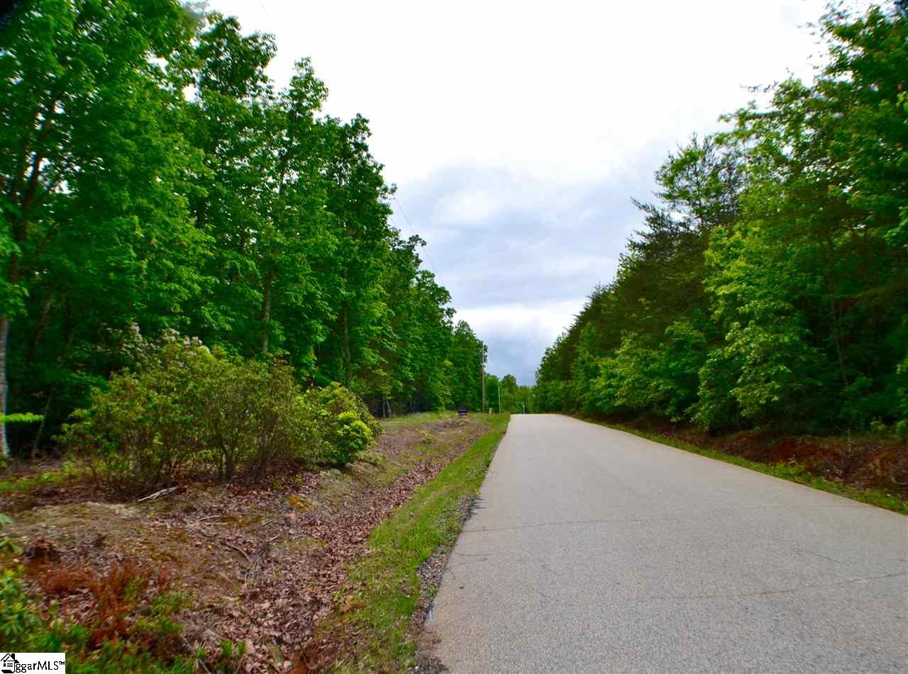 0 Red Hill Spur Road, Landrum, SC 29356