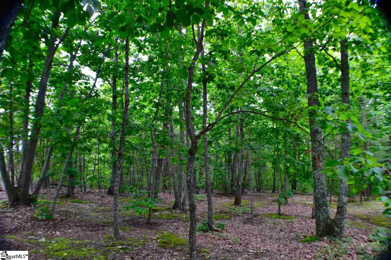 0 Red Hill Spur Road, Landrum, SC 29356