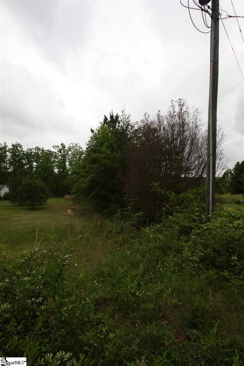 0 Morrow Road, Landrum, SC 29356