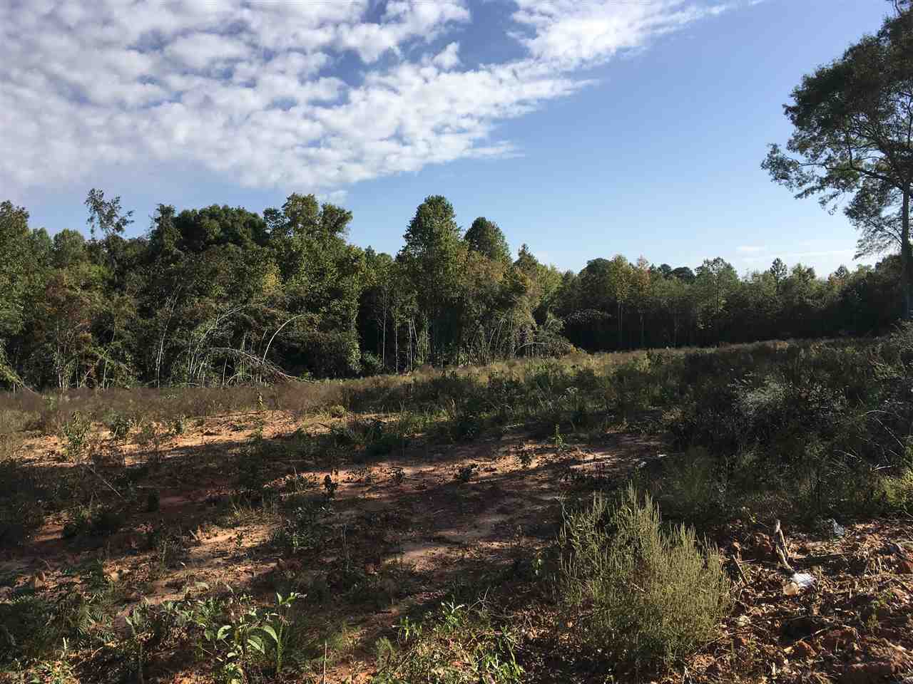 Conway Ave, Laurens, SC 29360