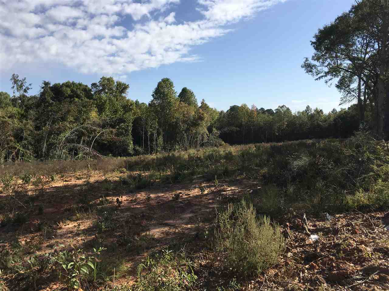 Conway Ave, Laurens, SC 29360
