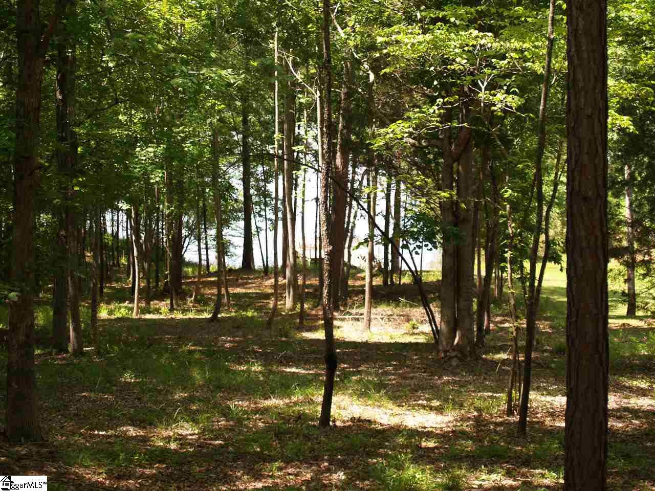 506 W Peninsula Drive, Laurens, SC 29360