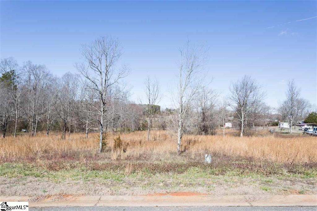 216 Winding Creek Way, Lyman, SC 29365