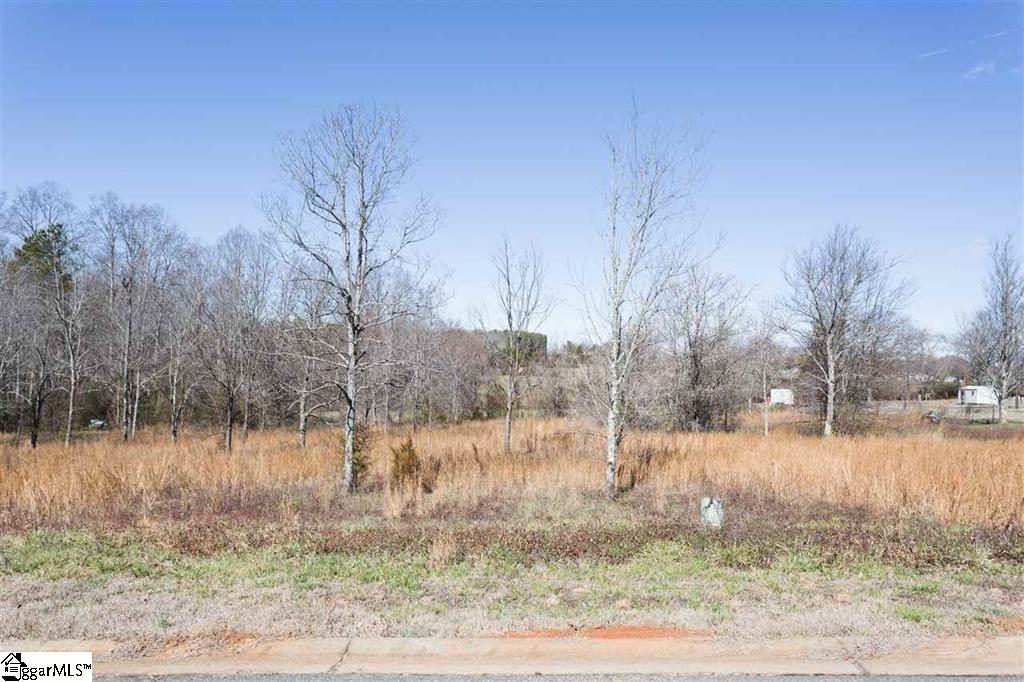 216 Winding Creek Way, Lyman, SC 29365