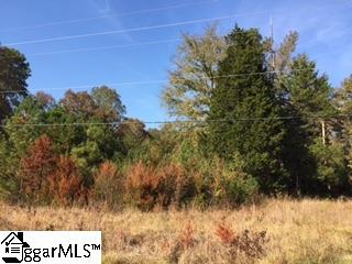 250 Mount Lebanon Road, Pauline, SC 29374