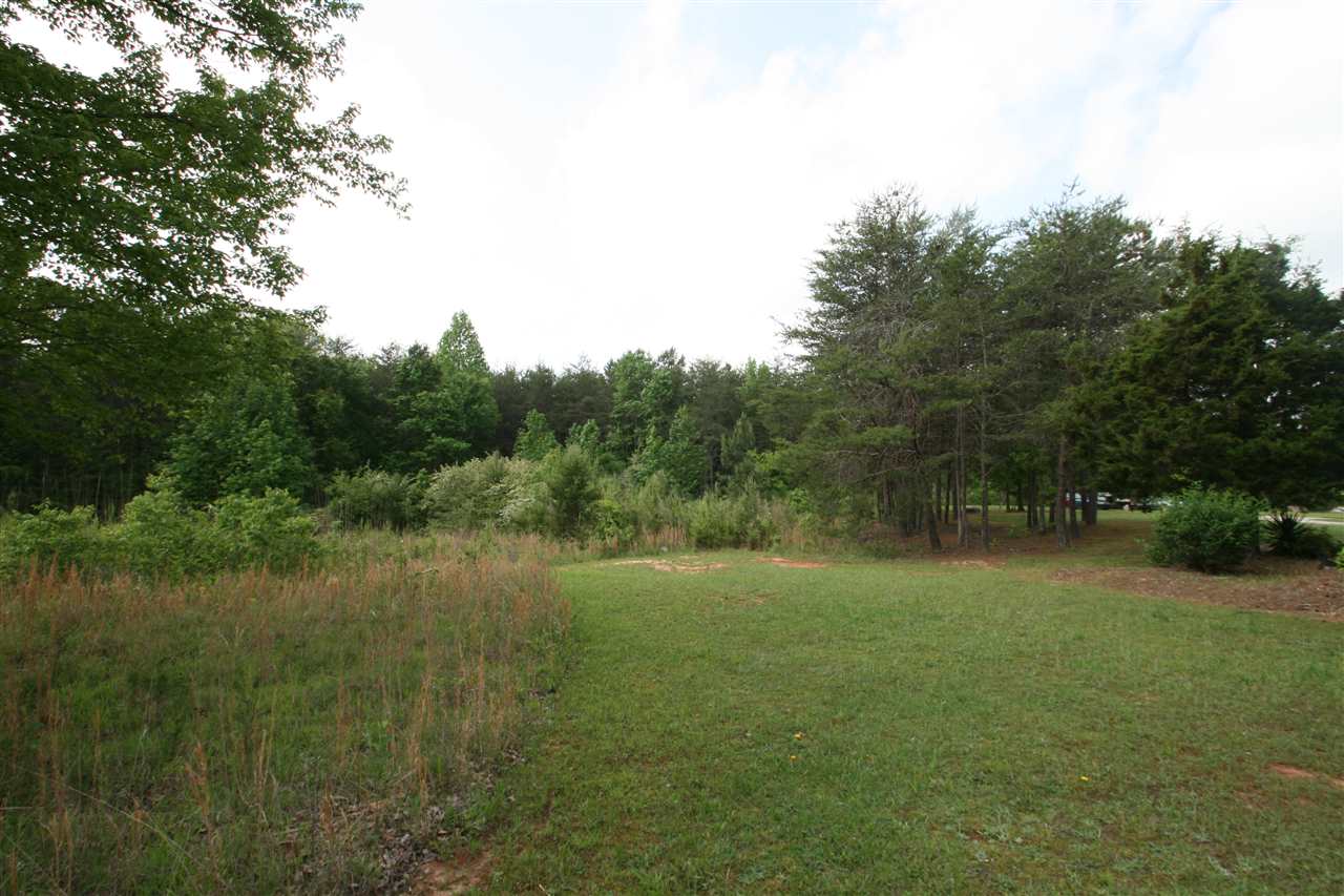Foster Road, Roebuck, SC 29376