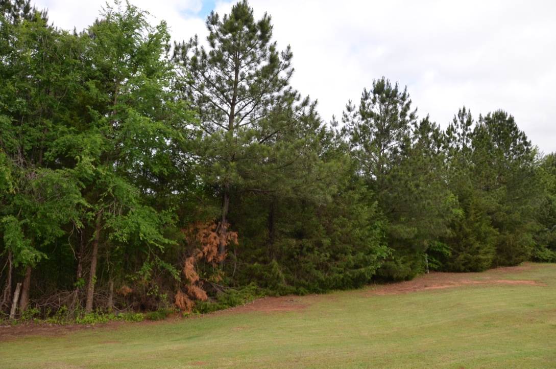 561 Timberlake Rd, Union, SC 29379