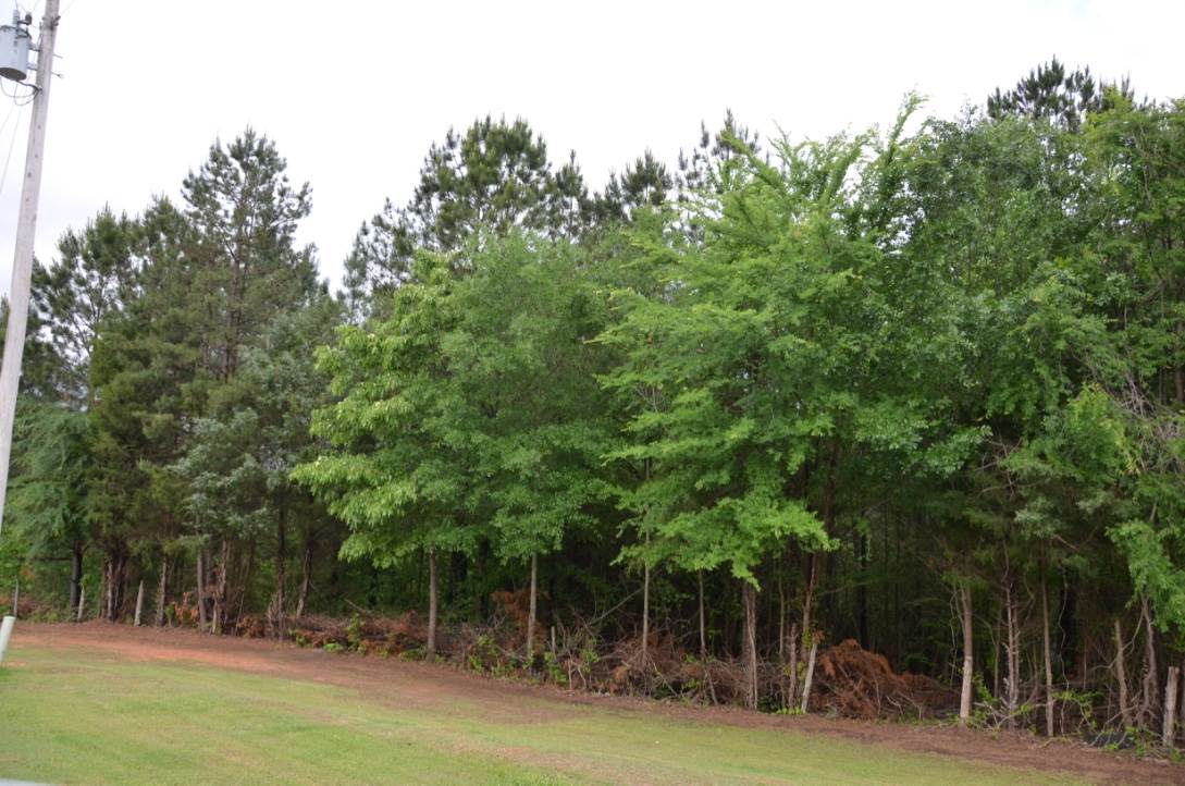 561 Timberlake Rd, Union, SC 29379