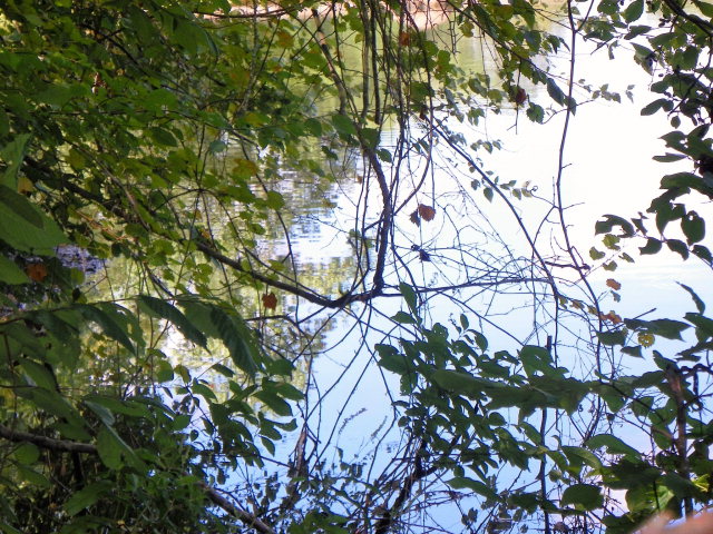 Lot 85 RidgewoodDrive, Waterloo, SC 29384