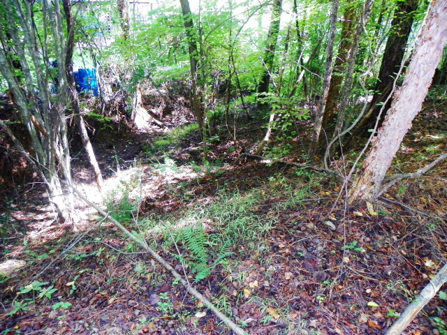 Lot 85 RidgewoodDrive, Waterloo, SC 29384
