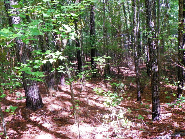 Lot 85 RidgewoodDrive, Waterloo, SC 29384