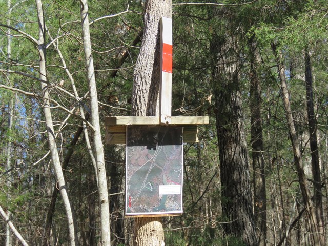 Lot B Cunningham Slough, Waterloo, SC 29384