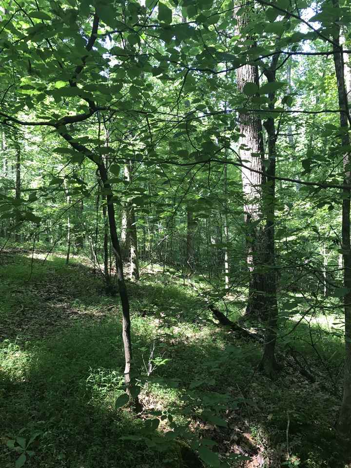 Simmons Dr, Wellford, SC 29385