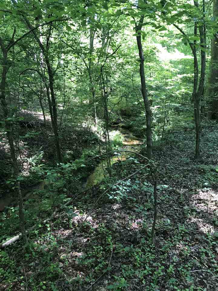 Simmons Dr, Wellford, SC 29385