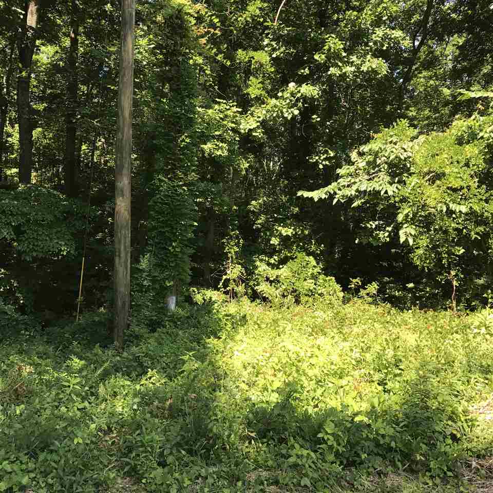Simmons Dr, Wellford, SC 29385