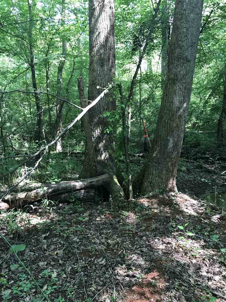 Simmons Dr, Wellford, SC 29385