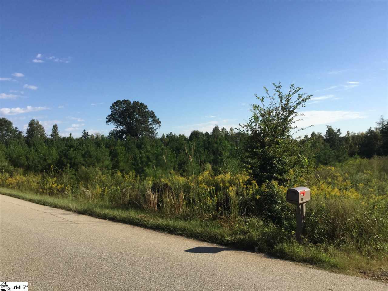 654 Bill Pearson Road, Woodruff, SC 29388