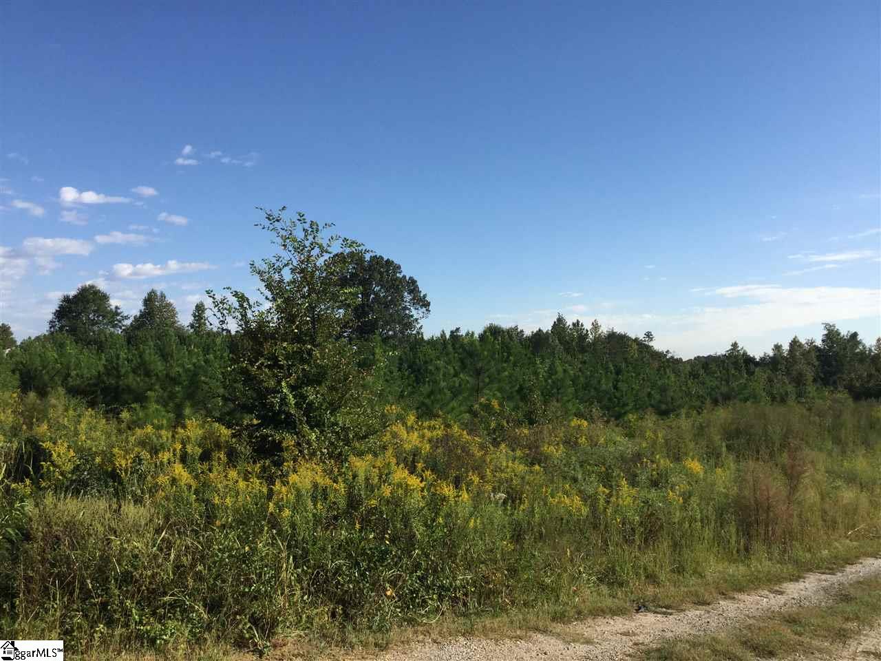 654 Bill Pearson Road, Woodruff, SC 29388