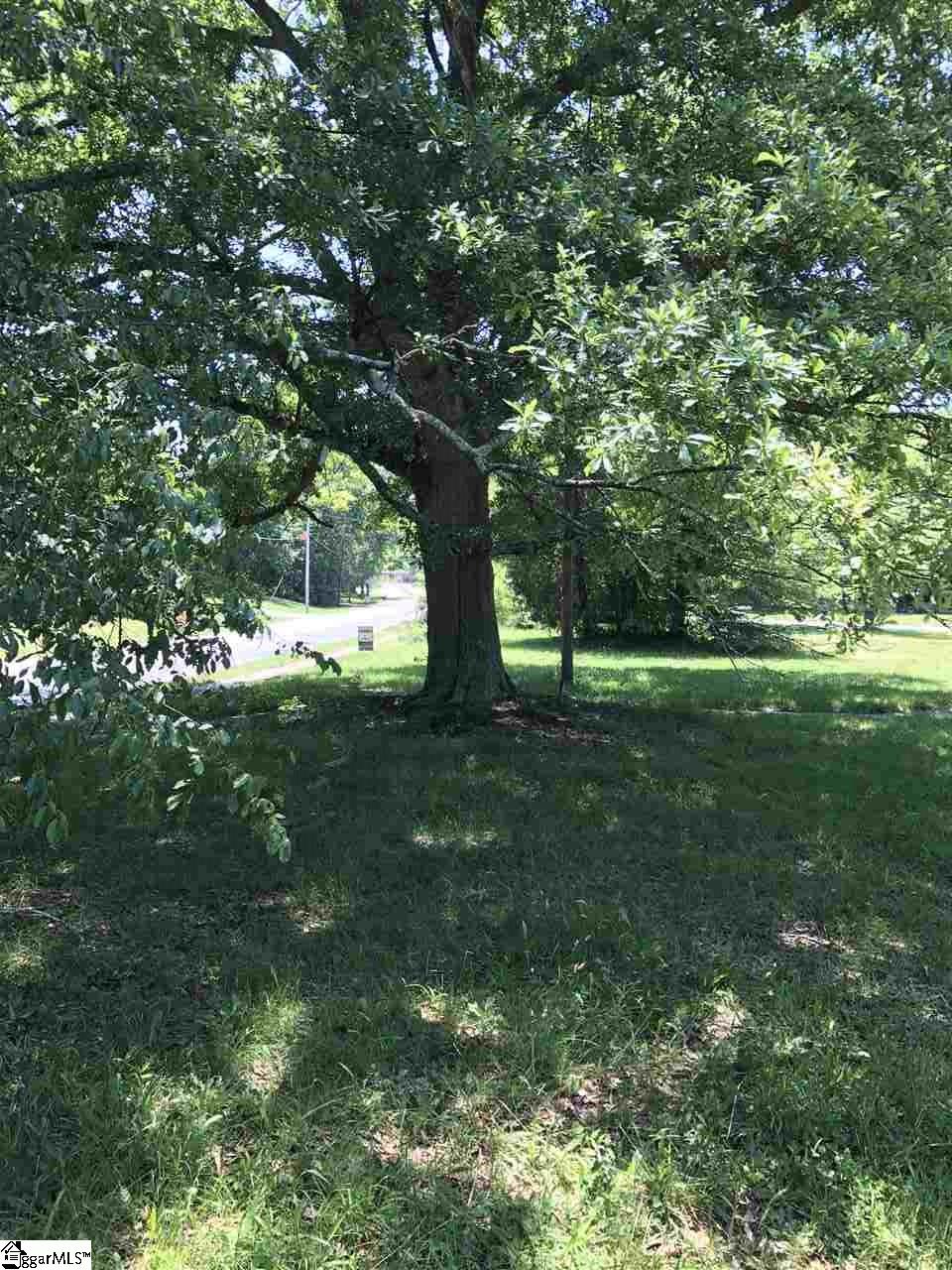 00 W Georgia Street, Woodruff, SC 29388