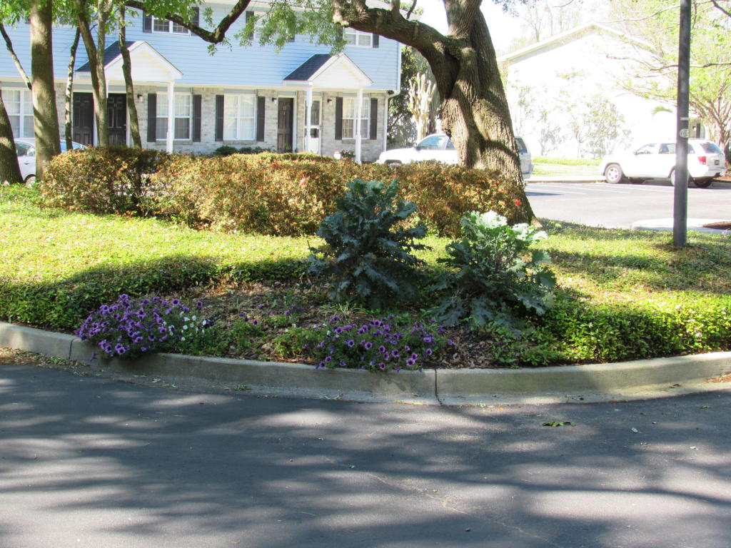 507 Stinson Drive, Charleston, SC 29407