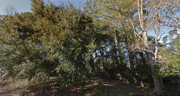 N/A Jobee Drive, Charleston, SC 29414