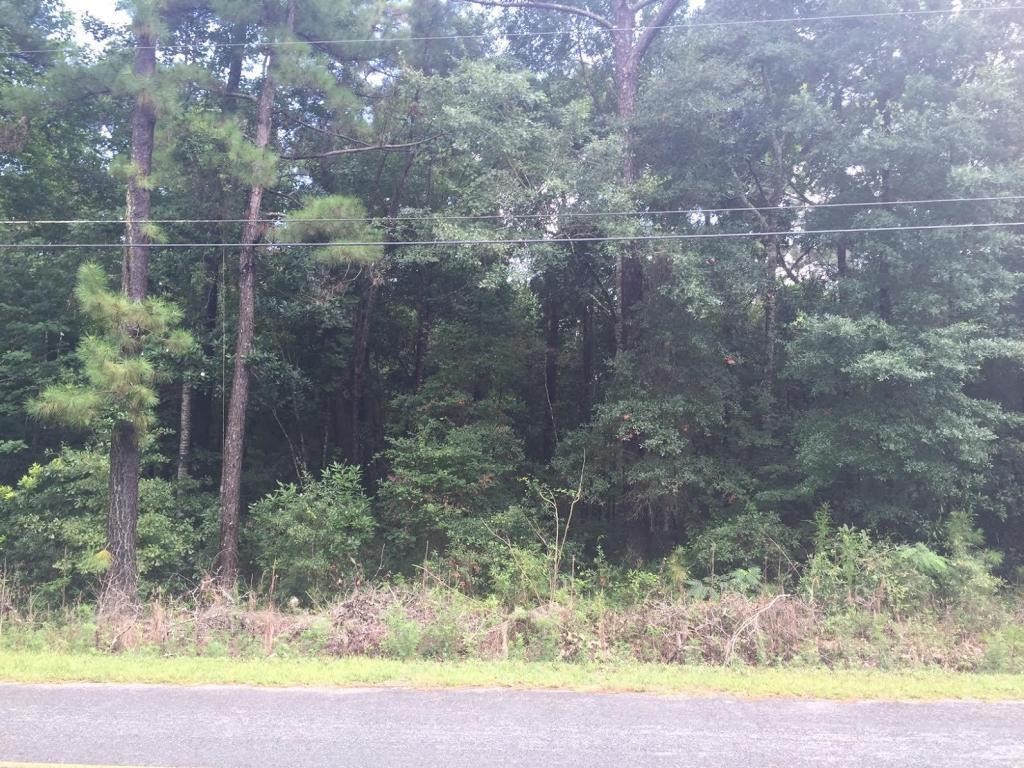5366 Mauss Hill Road, Adams Run, SC 29426