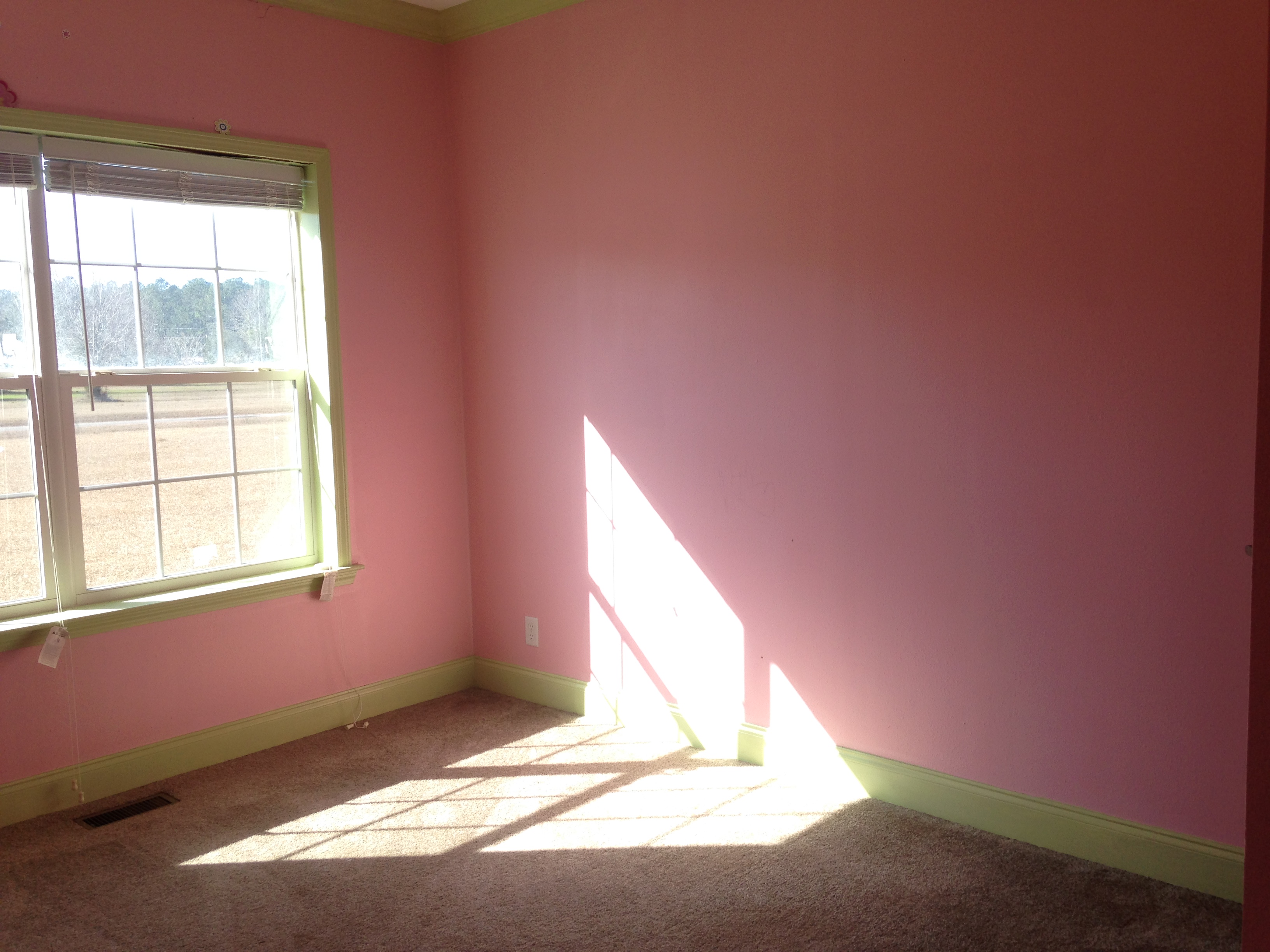 1034 Jimbud DrBonneau, SC, 29431Berkeley County