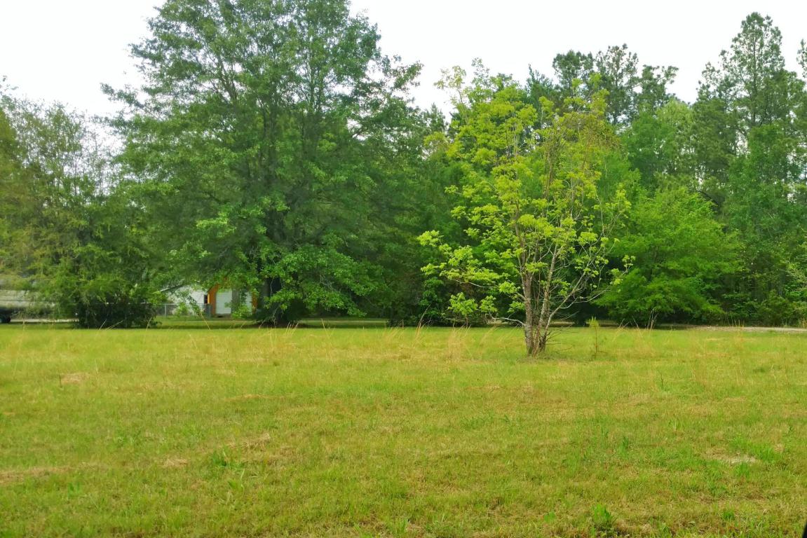 0 Alligator Road, Cordesville, SC 29434