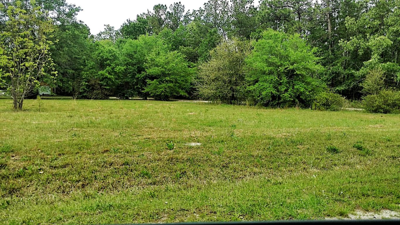 0 Alligator Road, Cordesville, SC 29434
