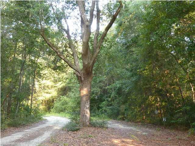 12 Louis Berry Lane, Edisto Island, SC 29438