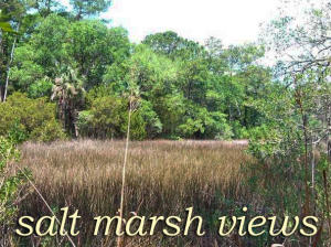 4 Creek View Court, Edisto Island, SC 29438
