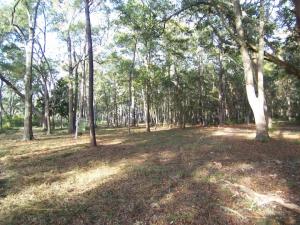 4 Creek View Court, Edisto Island, SC 29438