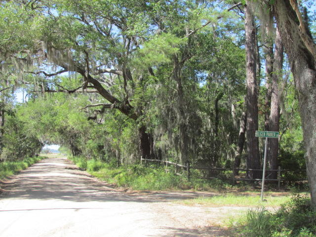 1864 Bligen Parker Ln, Edisto Island, SC 29438