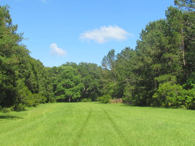1864 Bligen Parker Ln, Edisto Island, SC 29438