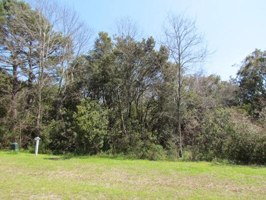 993 Blackbear Drive, Edisto Island, SC 29438