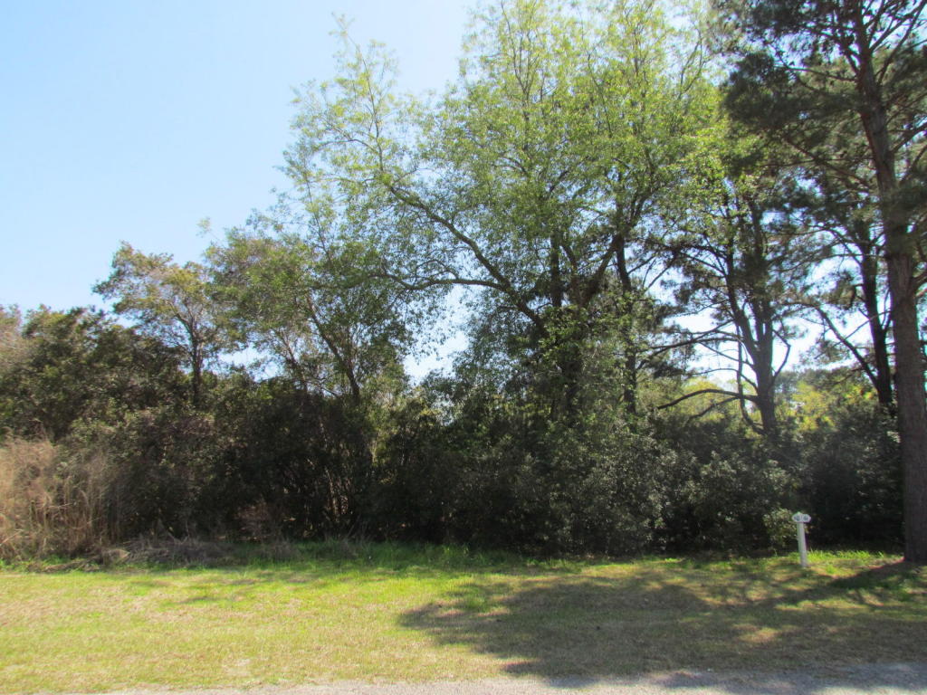 993 Blackbear Drive, Edisto Island, SC 29438
