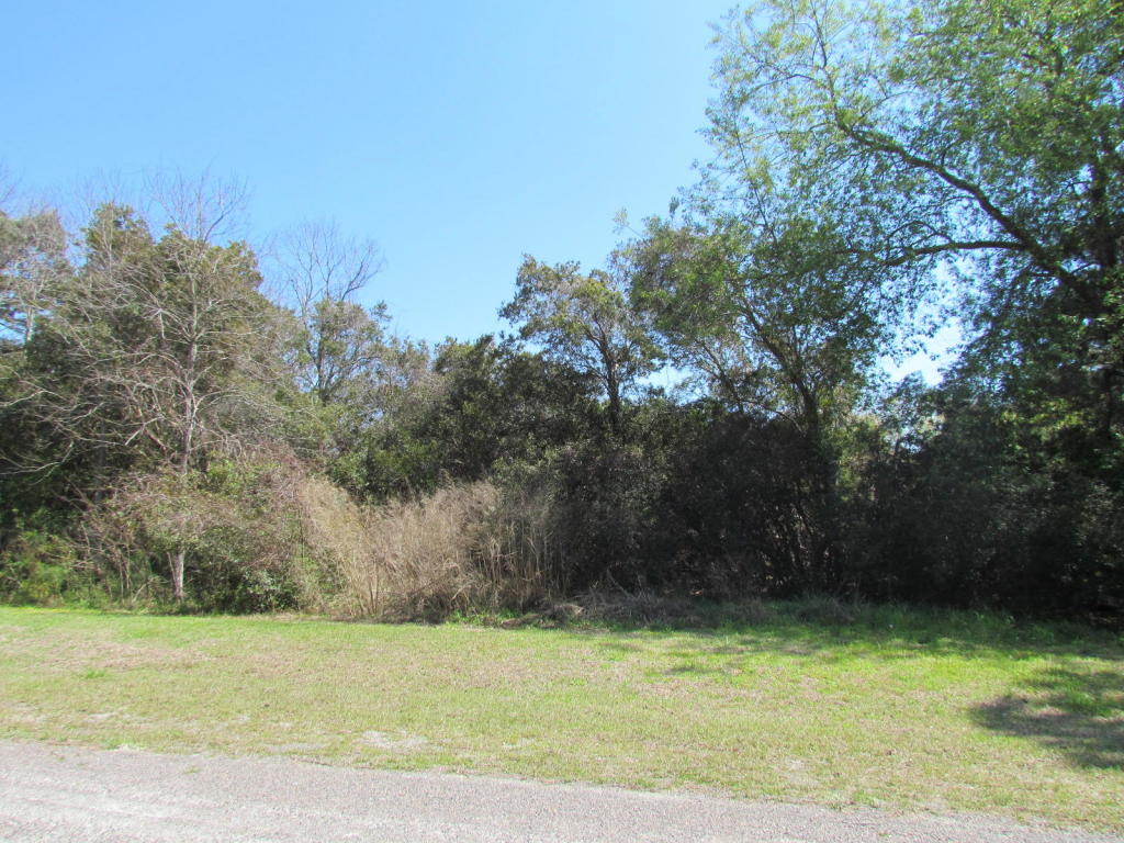 993 Blackbear Drive, Edisto Island, SC 29438