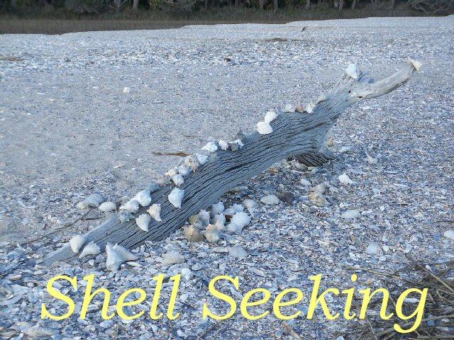 Hwy 174 Lot 3c, Edisto Island, SC 29438