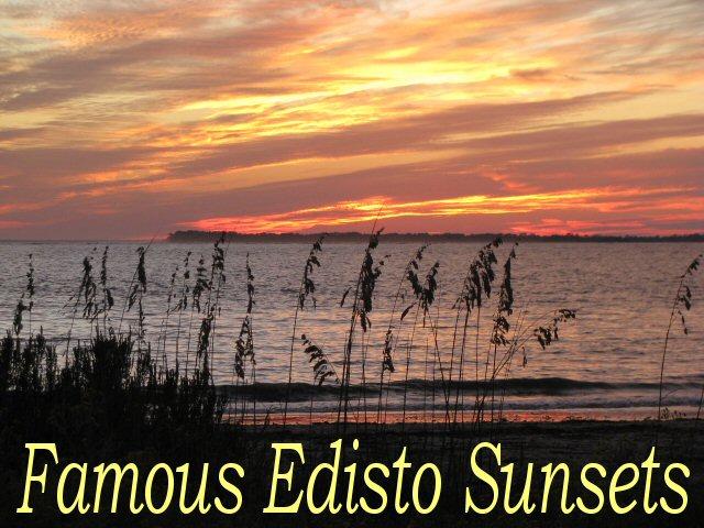 Hwy 174 Lot 3c, Edisto Island, SC 29438