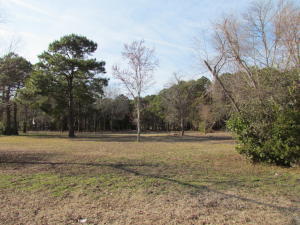 1040 Blackbear, Edisto Island, SC 29438