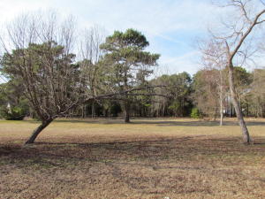 1040 Blackbear, Edisto Island, SC 29438