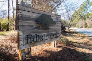 1040 Blackbear, Edisto Island, SC 29438