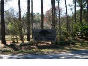 1040 Blackbear, Edisto Island, SC 29438