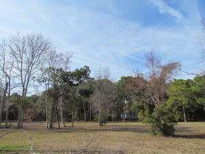 1018 Blackbear Lane, Edisto Island, SC 29438