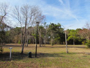 1018 Blackbear Lane, Edisto Island, SC 29438