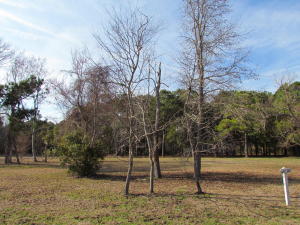 1018 Blackbear Lane, Edisto Island, SC 29438