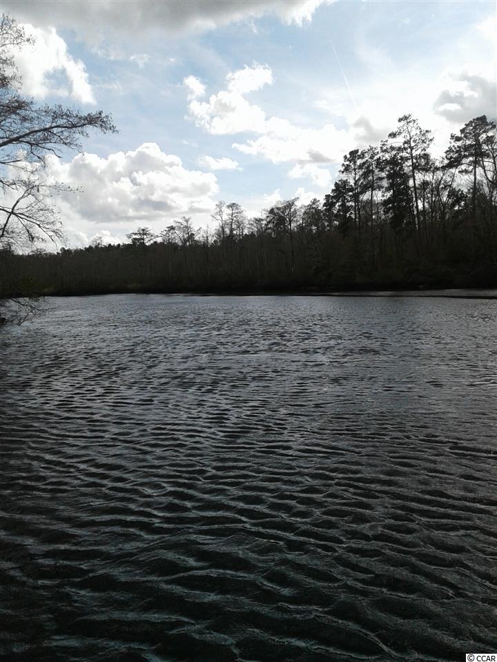 tbdBrowns Ferry Road, Georgetown, SC 29440