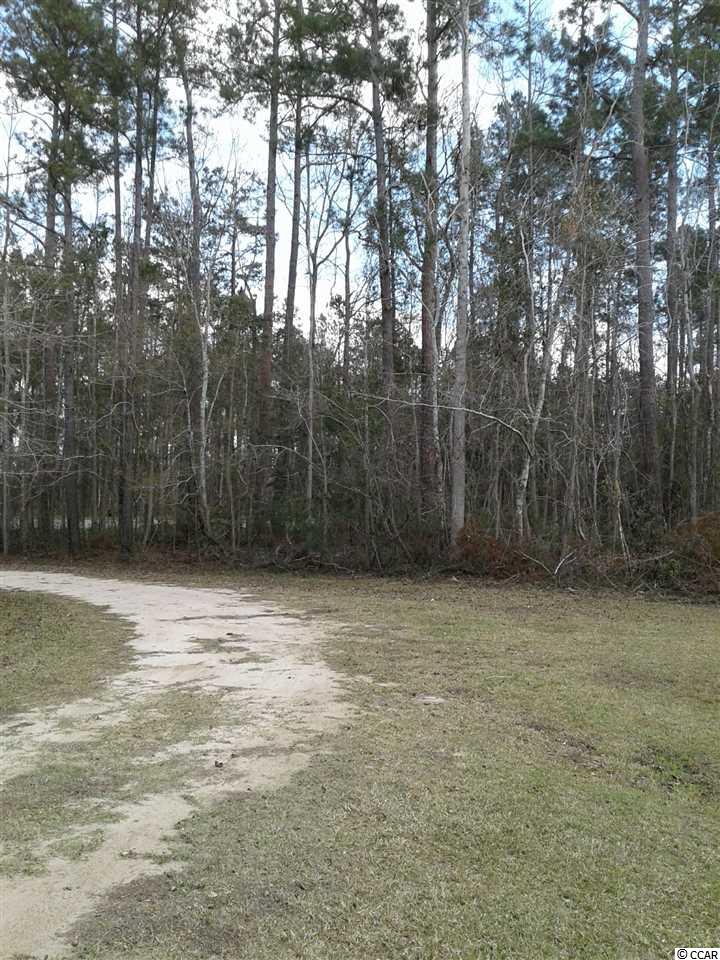 tbdBrowns Ferry Road, Georgetown, SC 29440