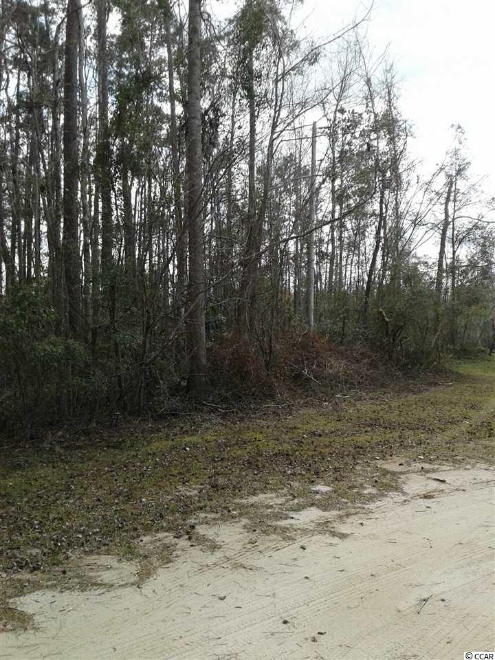 tbdBrowns Ferry Road, Georgetown, SC 29440