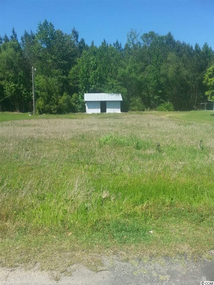 394Garden Ave., Georgetown, SC 29440